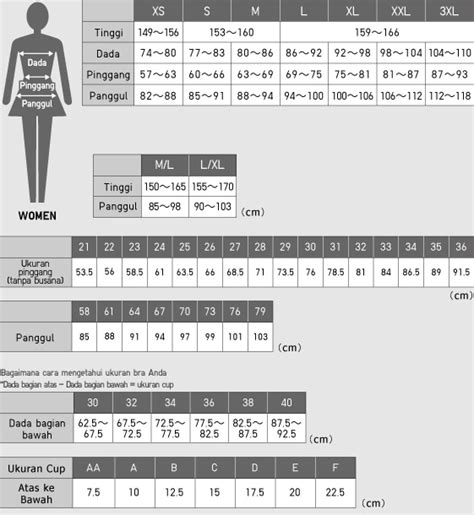 uniqlo underwear size chart.